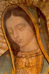 20111206004841-virguadalupe1.jpg